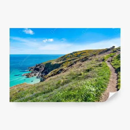 Wall mural coastal footpath toward Hor Point, St Ives • Wallissimo®