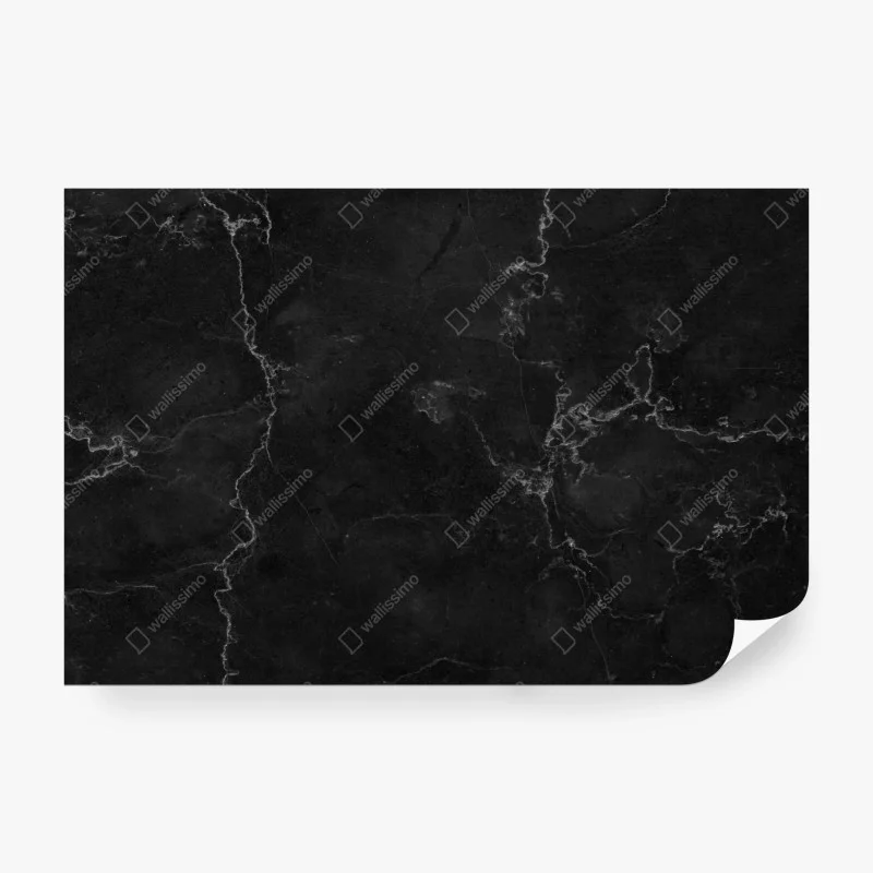 Wall mural black marble veined pattern