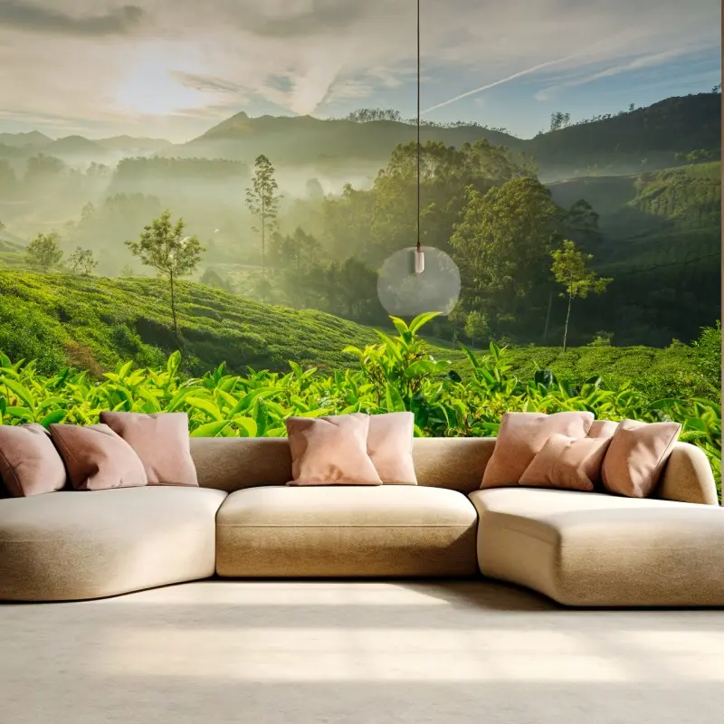 Wall mural sunrise over Munnar tea plantations