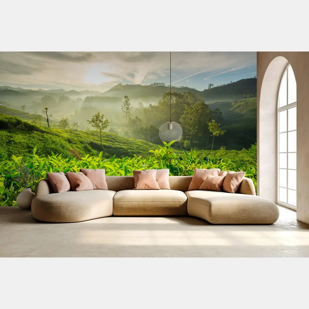 Wall mural sunrise over Munnar tea plantations • Wallissimo®