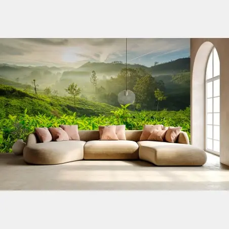 Wall mural sunrise over Munnar tea plantations • Wallissimo®
