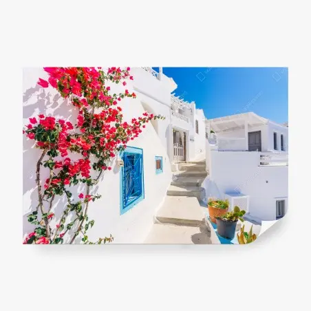 Wall mural Santorini whitewashed street with bougainvillea • Wallissimo®