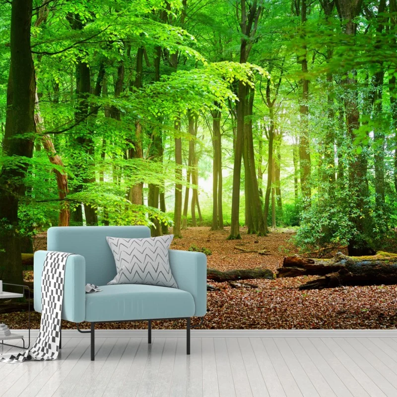 Wall mural sunlit green forest