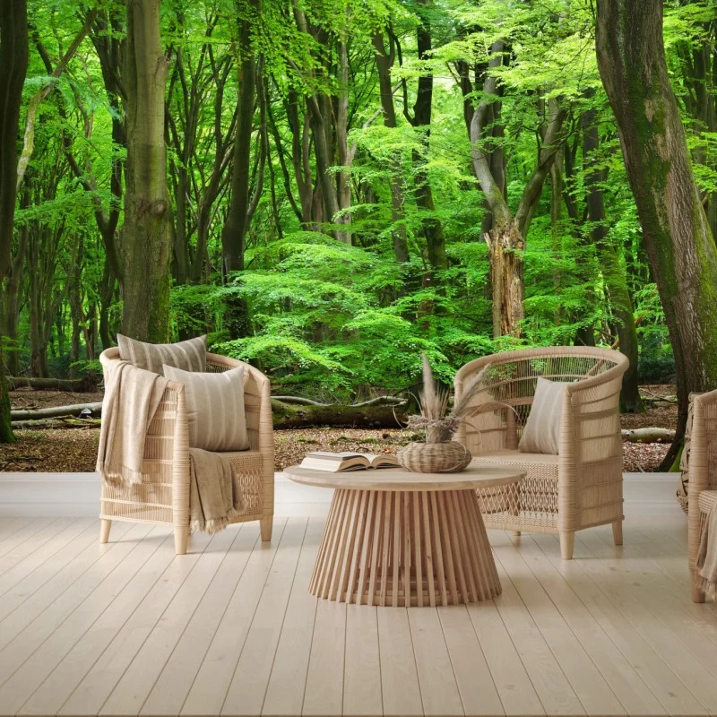 Wall mural serene green forest canopy