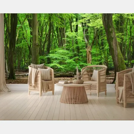 Wall mural serene green forest canopy • Wallissimo®