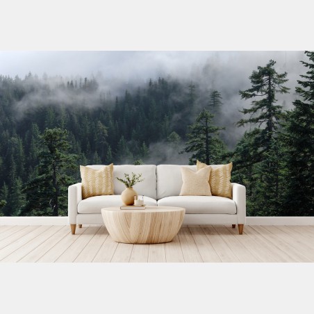Wall mural misty forest view from Larch Mount, Oregon • Wallissimo®