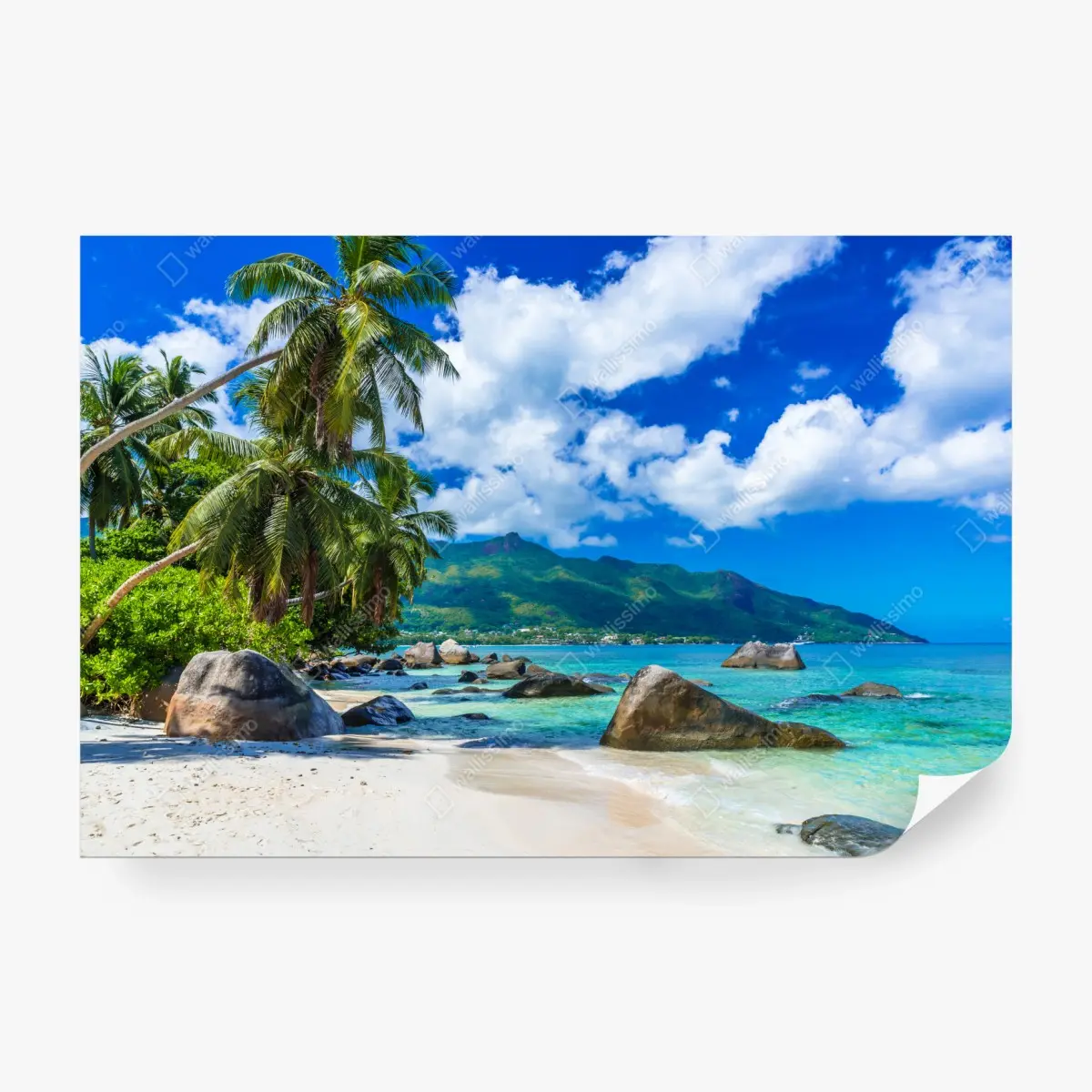 Wall mural Baie Beau Vallon tropical beach escape ⁕ Wallissimo®