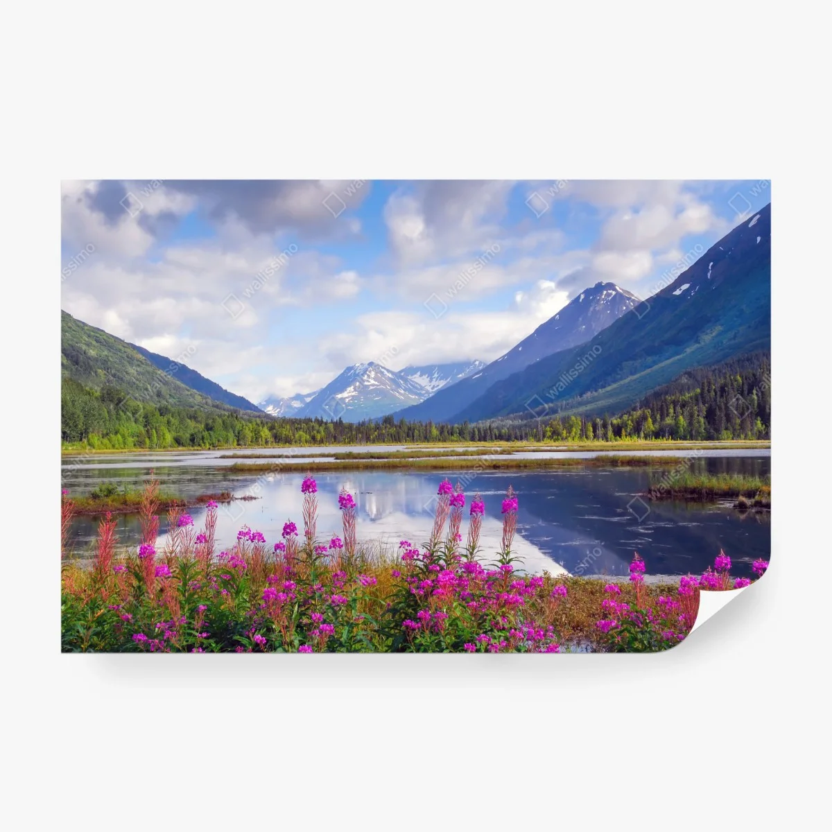 Wall mural Tern Lake reflections, Alaska mountain landscape • Wallissimo® Wall mural Tern Lake reflections, Alaska mountain landscape • Wallissimo®