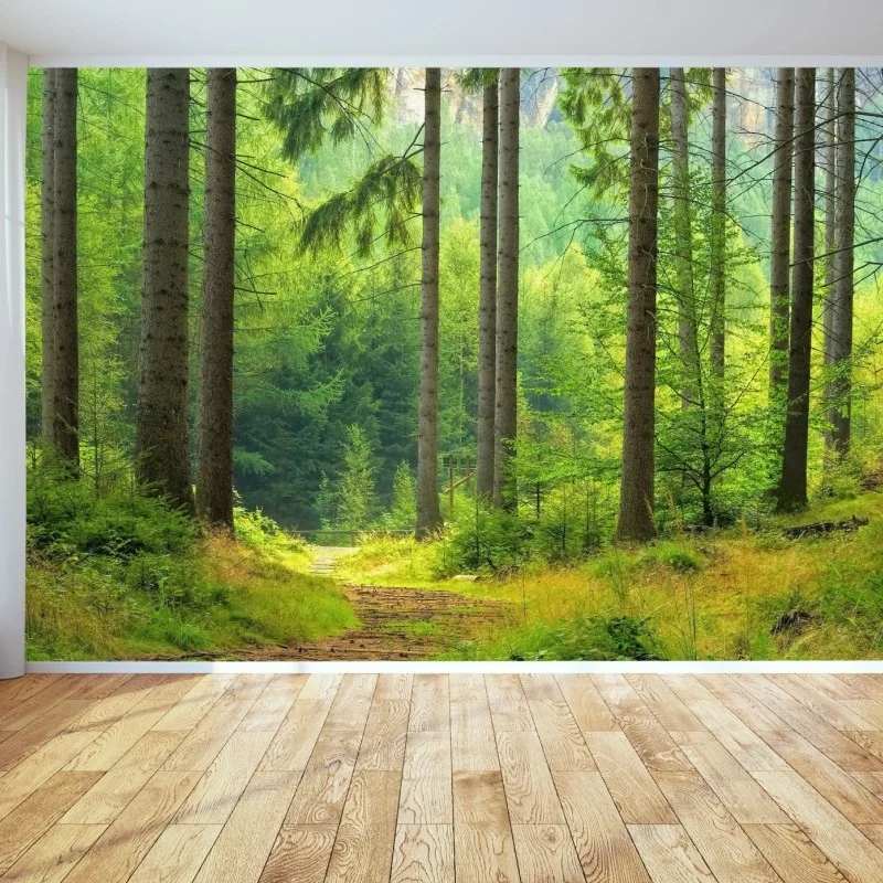 Wall mural sunlit forest trail