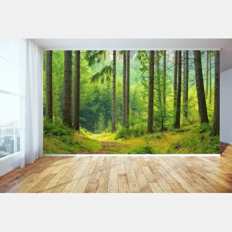Wall mural sunlit forest trail • Wallissimo®
