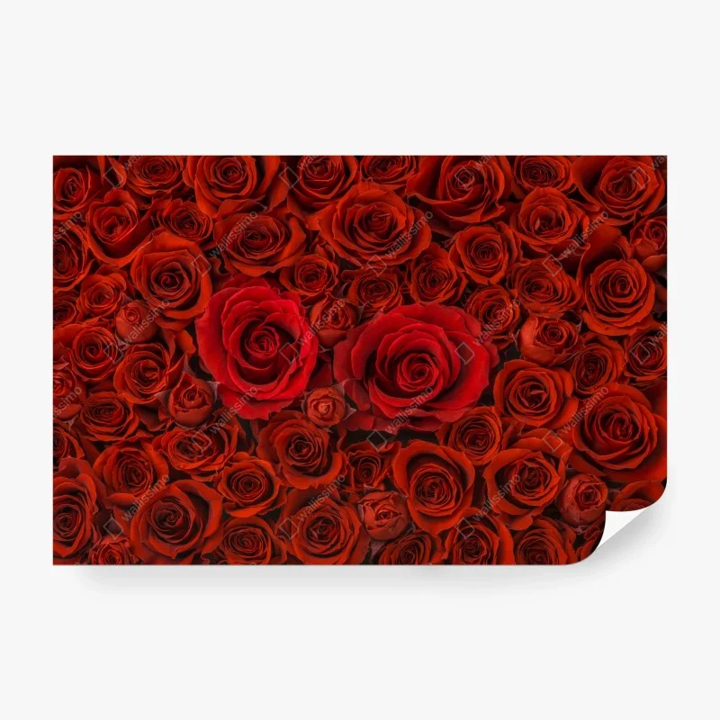 Wall mural lush red rose collage