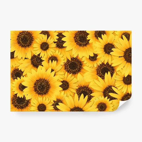 Wall mural golden sunflower bloom pattern • Wallissimo®