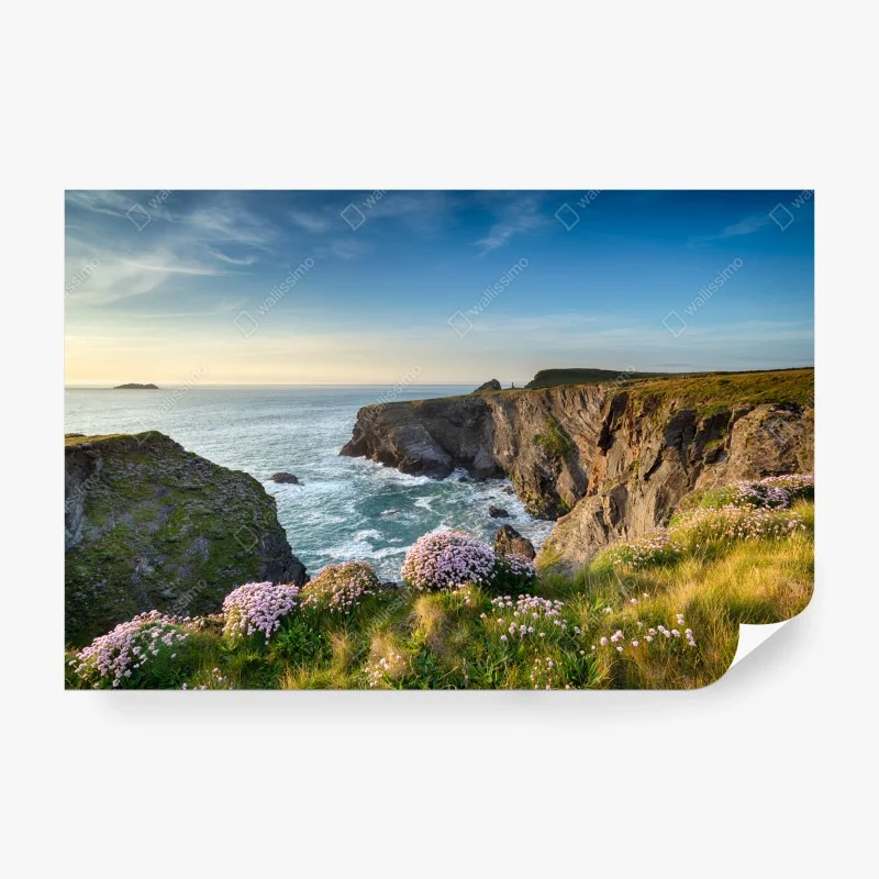 Wall mural coastal cliffs at golden hour