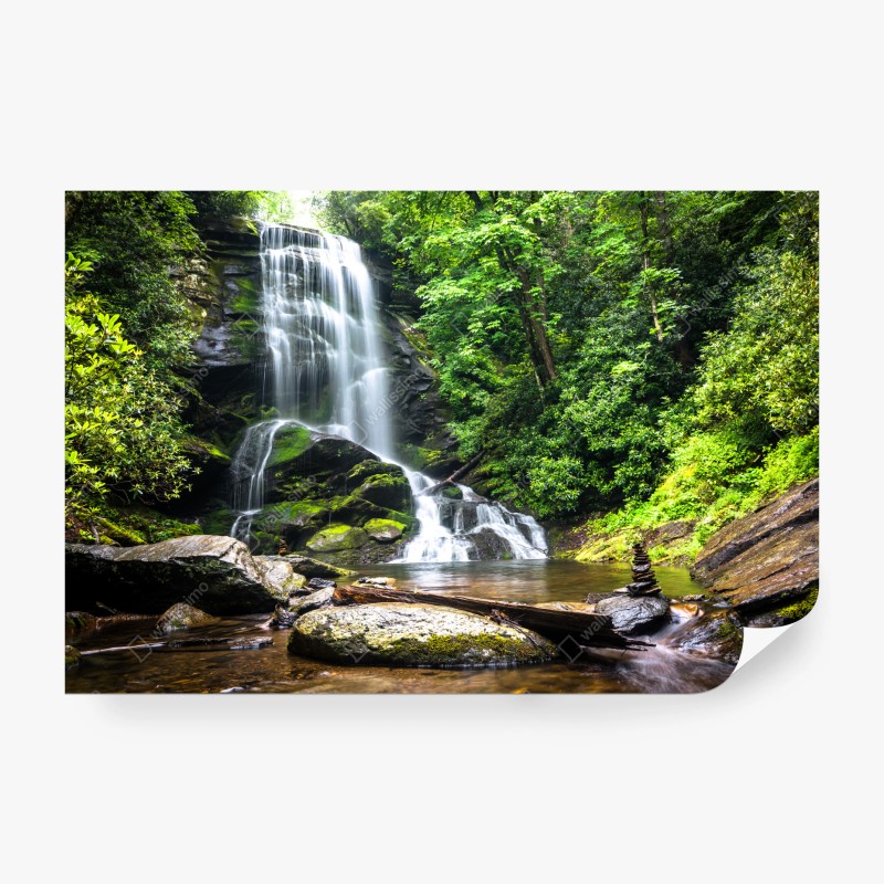 Wall mural serene forest waterfall
