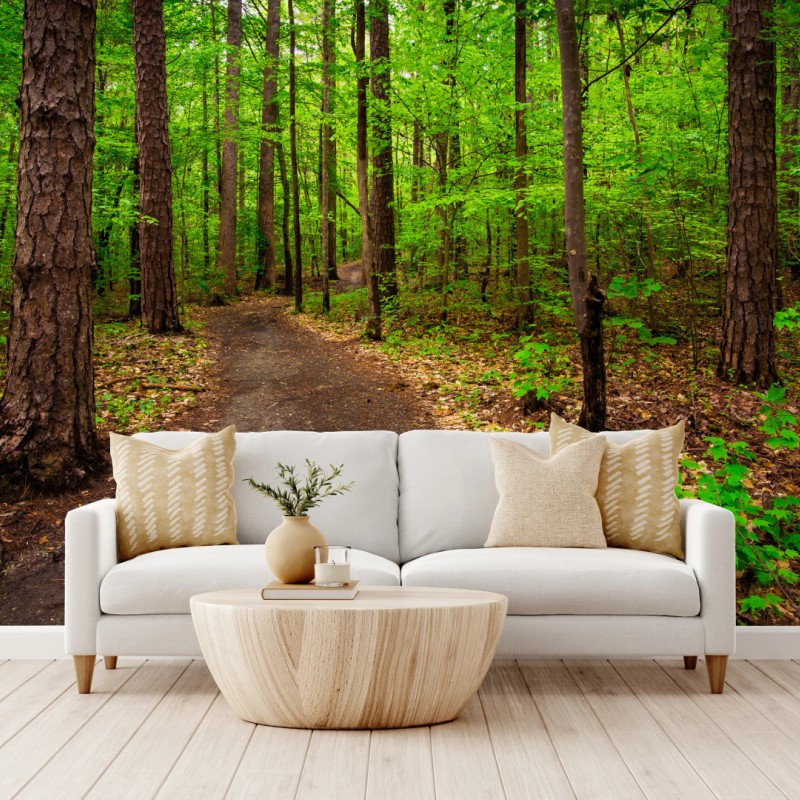 Wall mural serene green forest trail
