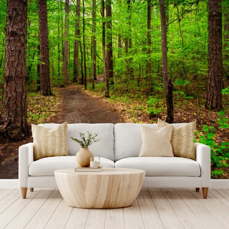 Wall mural serene green forest trail