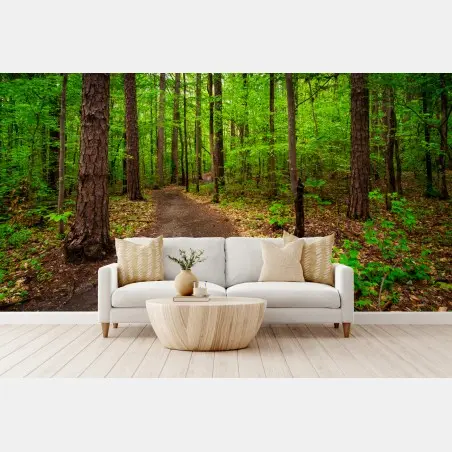 Wall mural serene green forest trail • Wallissimo®