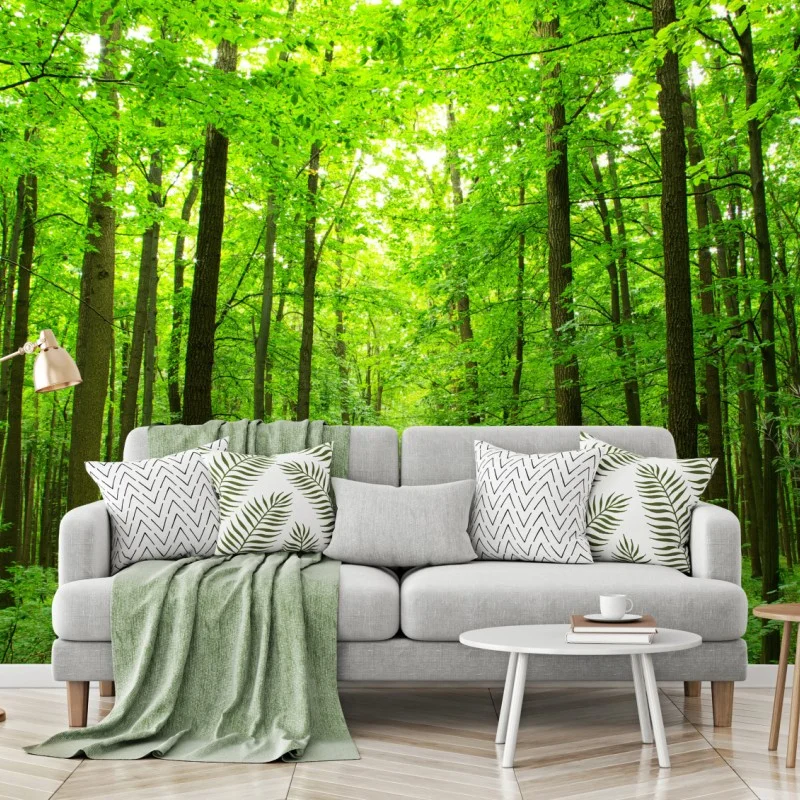 Wall mural tranquil forest pathway