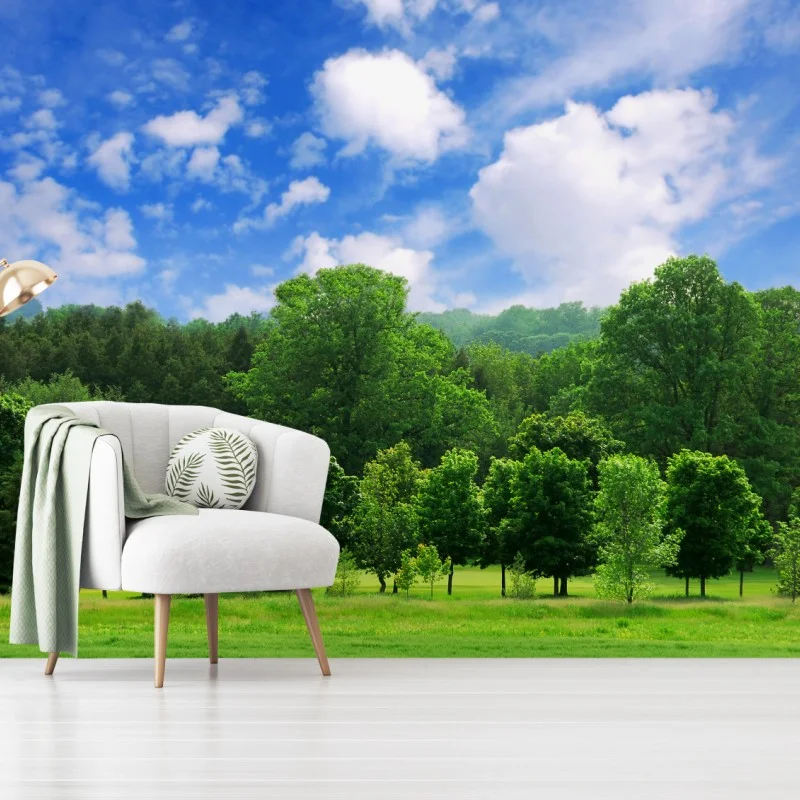 Wall mural summer green forest under blue sky