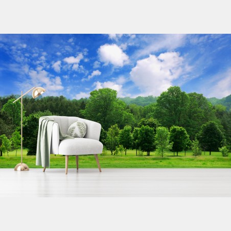 Wall mural summer green forest under blue sky • Wallissimo®