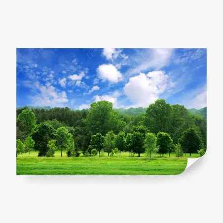 Wall mural summer green forest under blue sky • Wallissimo®