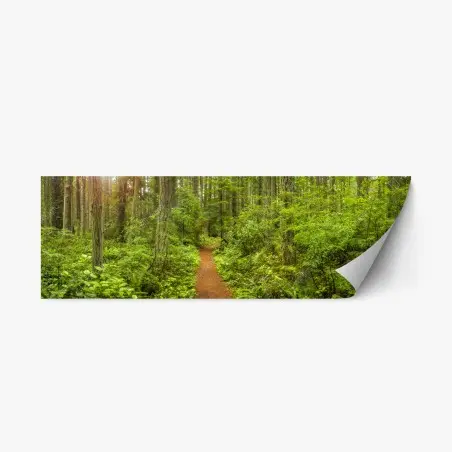 Repositionable sticker serene forest trail panorama • Wallissimo®