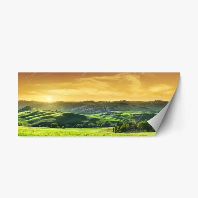 Repositionable sticker • Wallissimo®