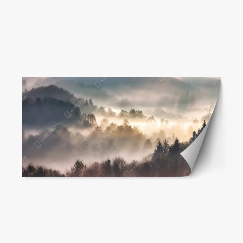 Repositionable sticker misty forest at dawn