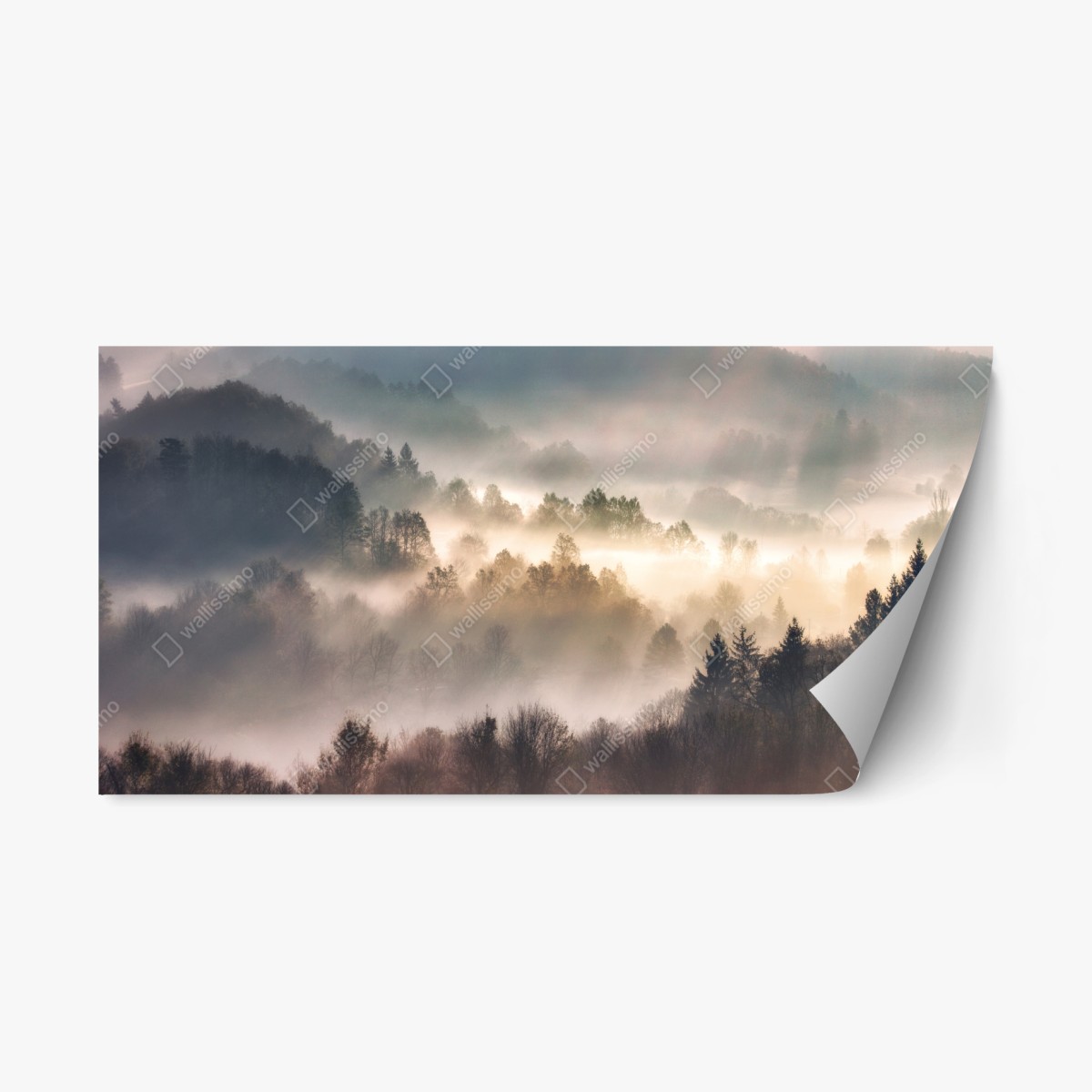 Repositionable sticker misty forest at dawn ⁕ Wallissimo® Repositionable sticker misty forest at dawn ⁕ Wallissimo®