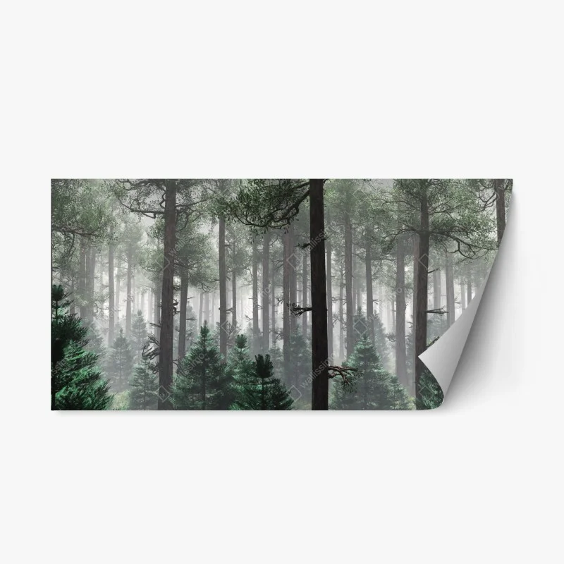 Repositionable sticker misty evergreen forest panorama ⁕ Wallissimo® Repositionable sticker misty evergreen forest panorama ⁕ Wallissimo®