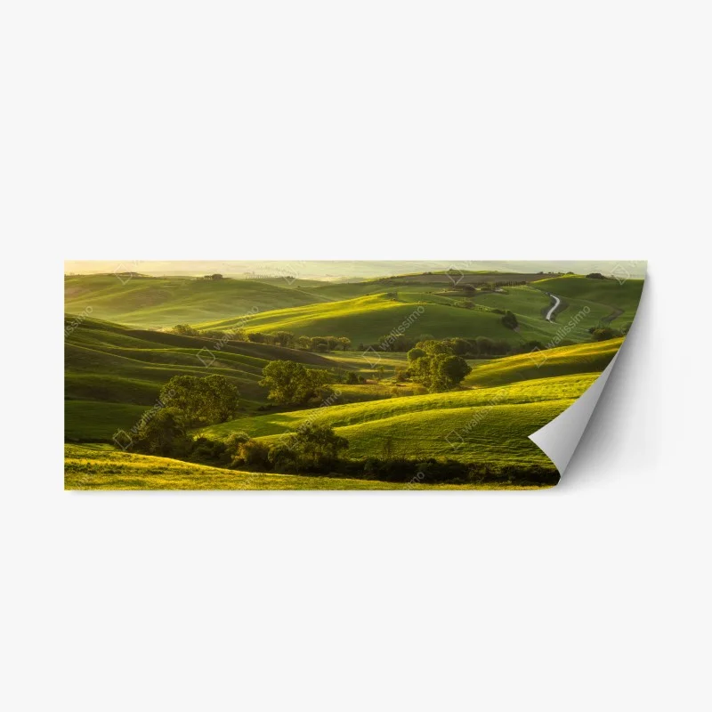 Repositionable sticker sunlit rolling green hills