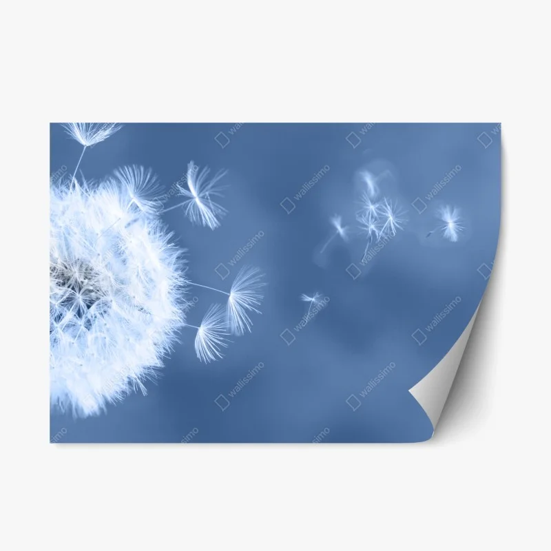 Repositionable sticker gentle dandelion seeds in blue