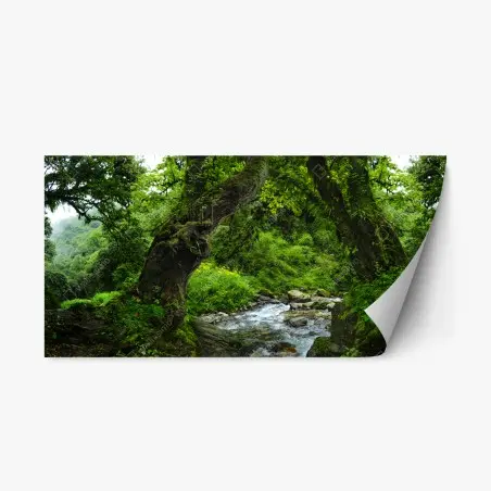 Repositionable sticker mossy forest stream panorama • Wallissimo®