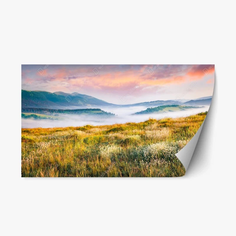 Repositionable sticker foggy morning at Borzhava ridge