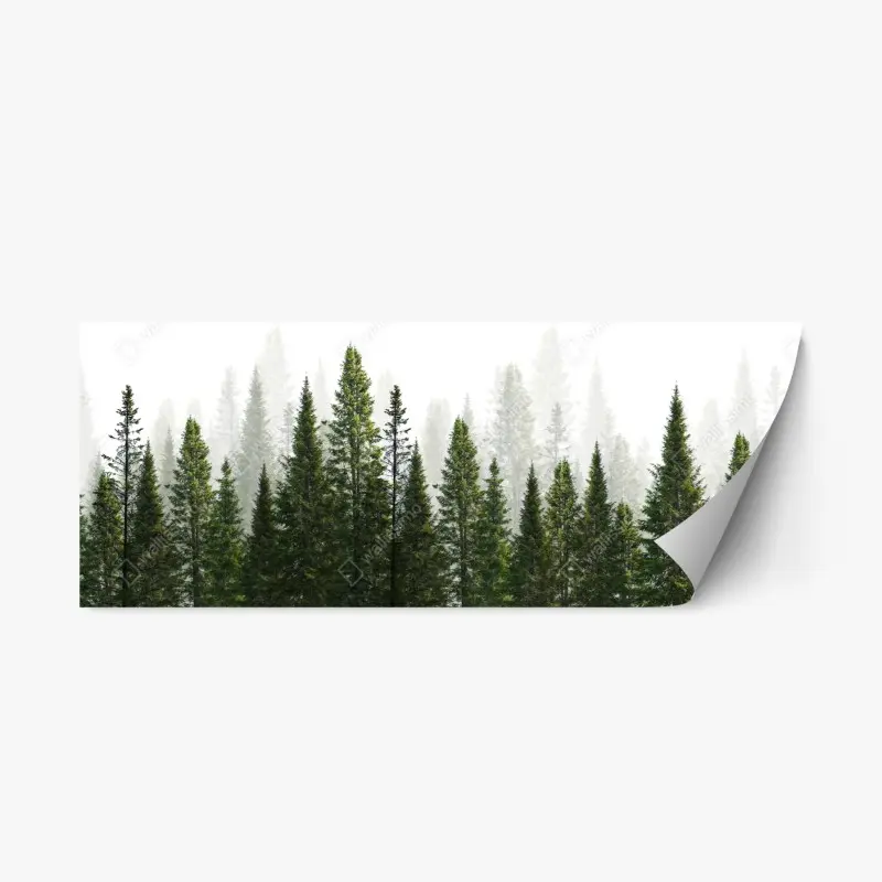 Repositionable sticker misty fir forest panorama
