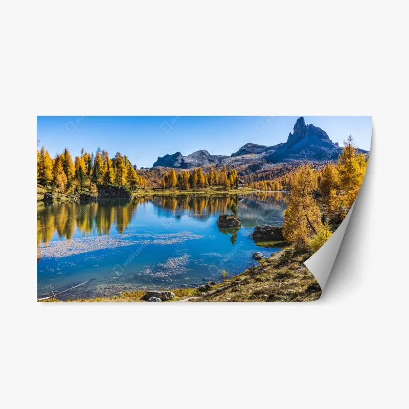 Repositionable sticker spring garden bloom: tulips and cherry blossoms • Wallissimo®