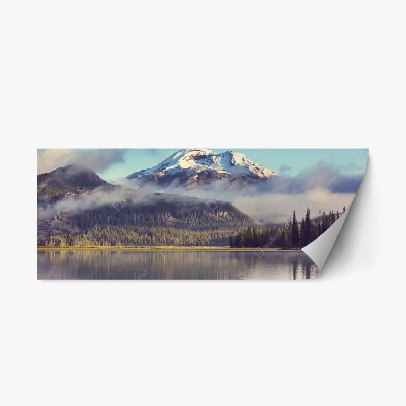 Repositionable sticker • Wallissimo®