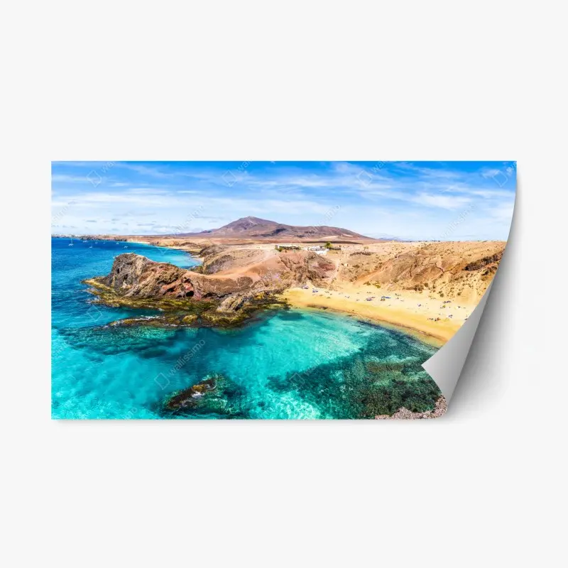 Repositionable sticker • Wallissimo®