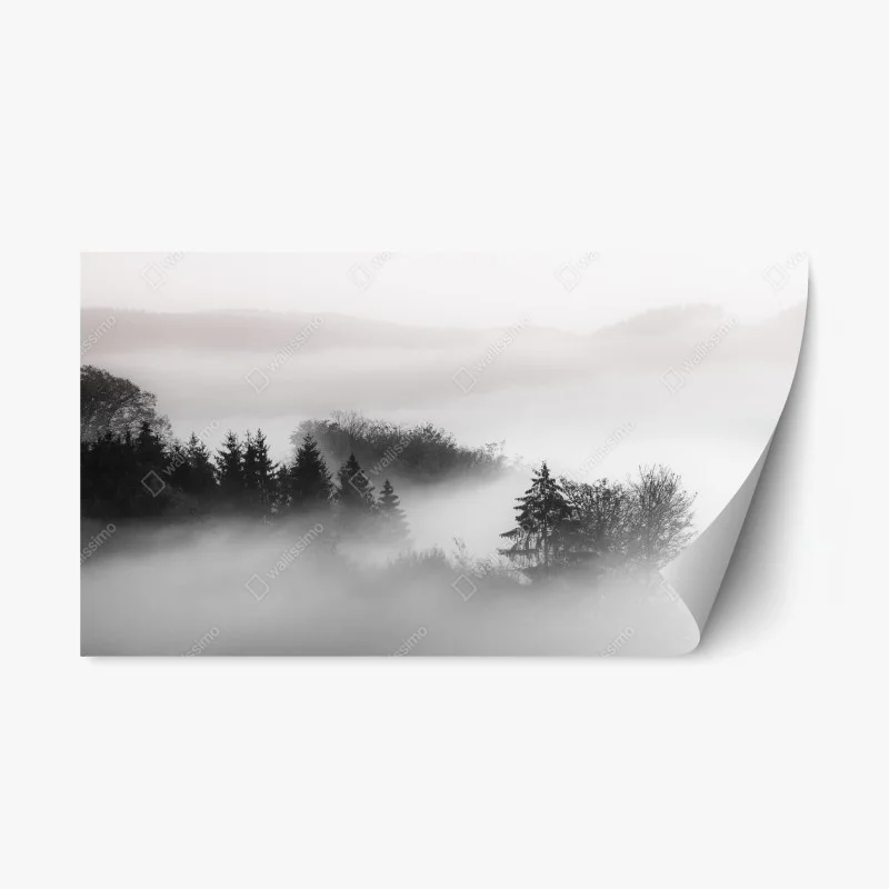 Repositionable sticker misty forest in monochrome