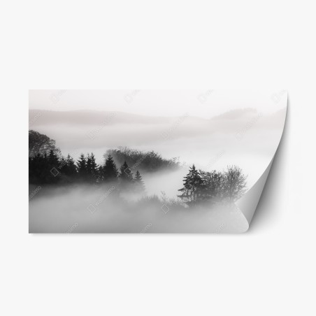 Repositionable sticker misty forest in monochrome • Wallissimo®