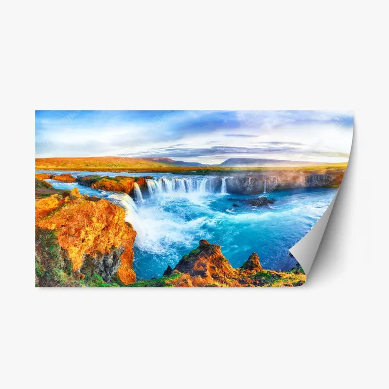 Repositionable sticker path through ancient redwood forest • Wallissimo®