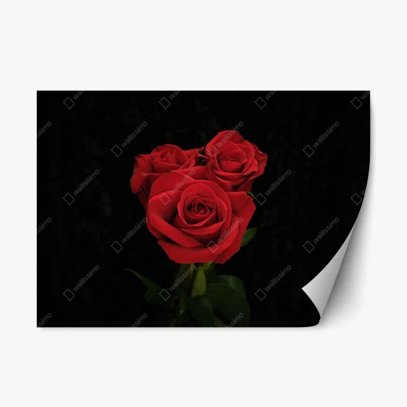 Repositionable sticker red roses on black background