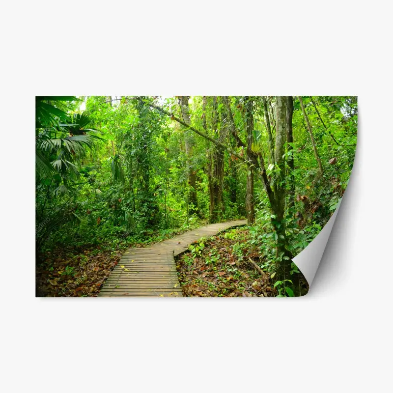 Repositionable sticker tropical boardwalk through lush forest
