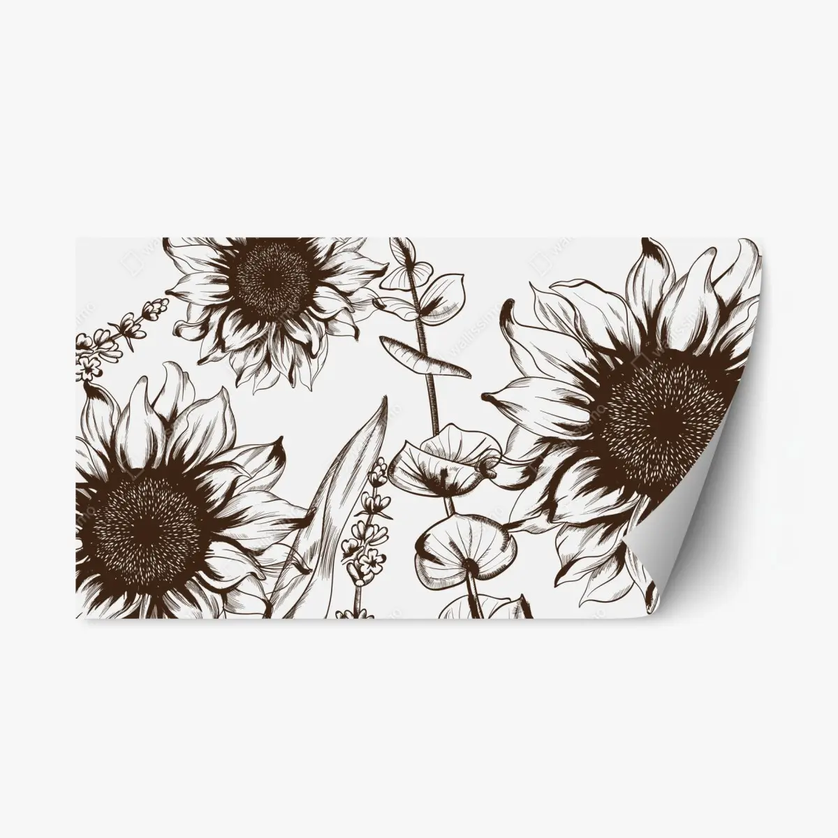 Repositionable sticker sunflower botanical illustration in sepia • Wallissimo® Repositionable sticker sunflower botanical illustration in sepia • Wallissimo®
