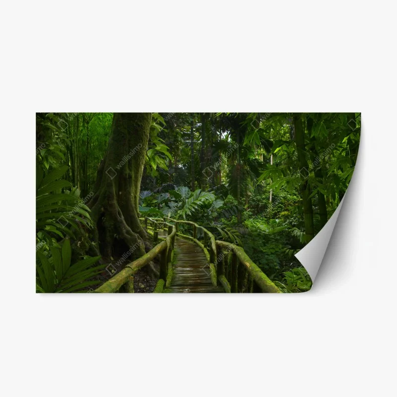 Repositionable sticker tranquil jungle boardwalk through lush rainforest