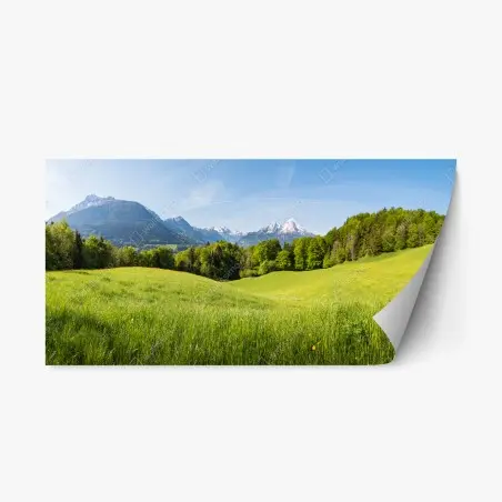 Repositionable sticker serene alpine meadow panorama • Wallissimo®