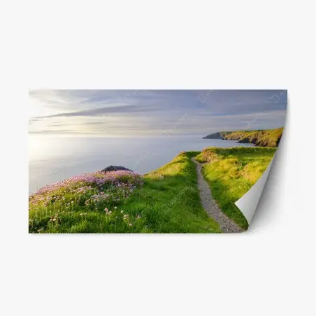 Repositionable sticker Ceibwr Bay coastal path at dusk • Wallissimo®