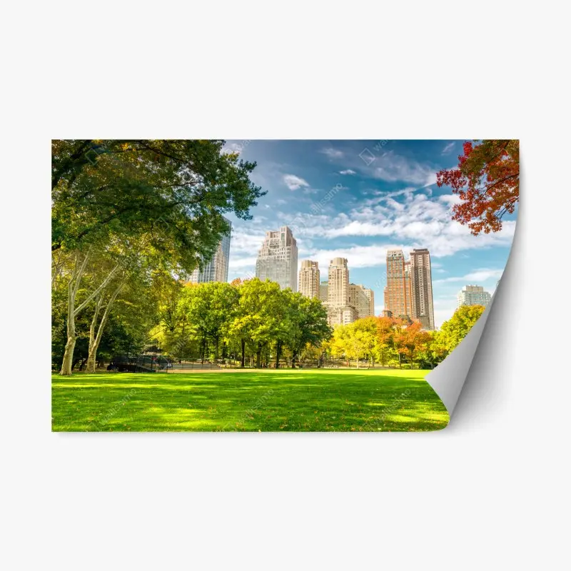 Repositionable sticker Central Park autumn skyline
