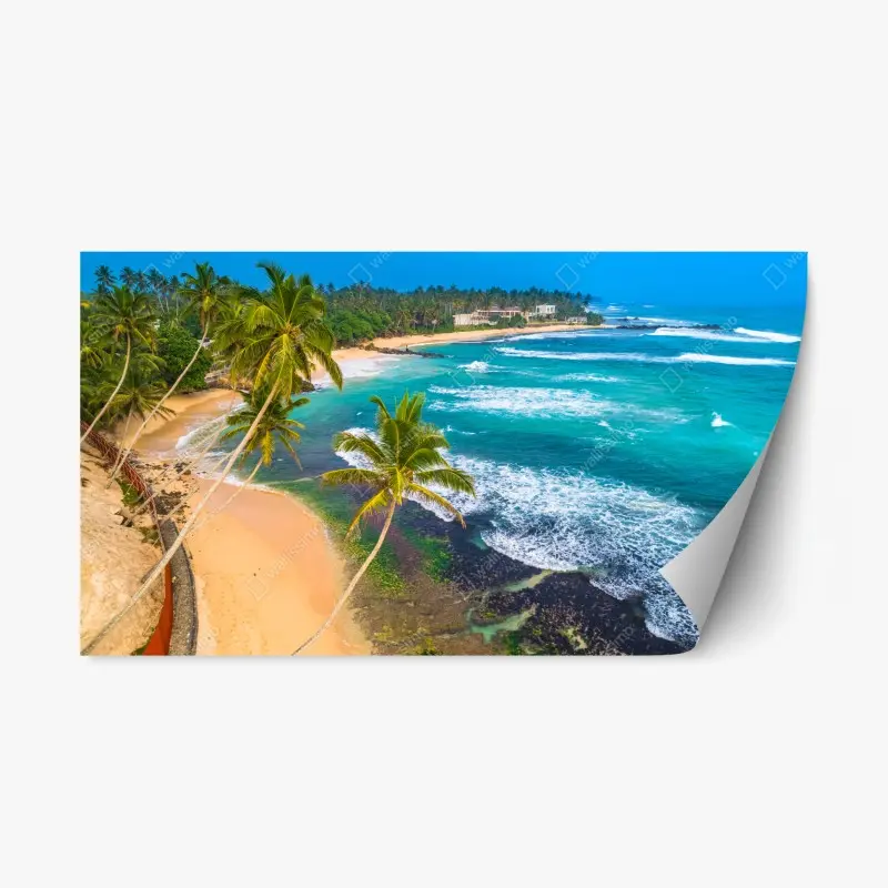 Repositionable sticker turquoise tropical coastline with palm trees