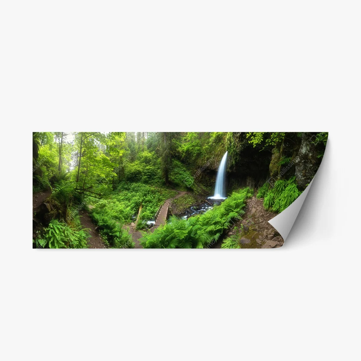 Repositionable sticker lush forest waterfall panorama • Wallissimo® Repositionable sticker lush forest waterfall panorama • Wallissimo®